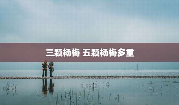三颗杨梅 五颗杨梅多重