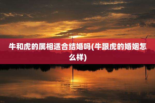 牛和虎的属相适合结婚吗(牛跟虎的婚姻怎么样)