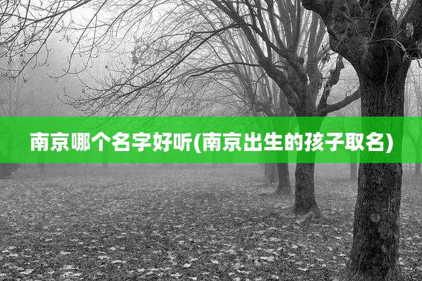 南京哪个名字好听(南京出生的孩子取名)