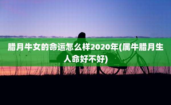 腊月牛女的命运怎么样2020年(属牛腊月生人命好不好)