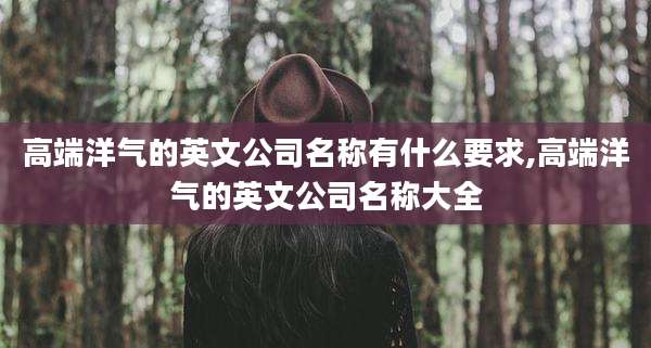高端洋气的英文公司名称有什么要求,高端洋气的英文公司名称大全