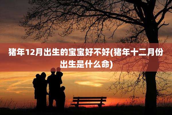 猪年12月出生的宝宝好不好(猪年十二月份出生是什么命)
