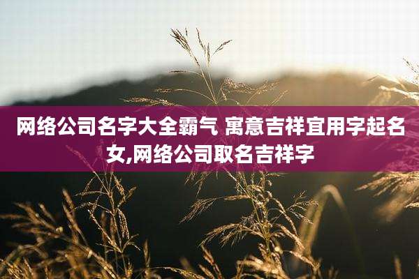网络公司名字大全霸气 寓意吉祥宜用字起名女,网络公司取名吉祥字