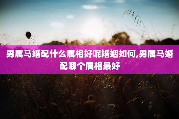 男属马婚配什么属相好呢婚姻如何,男属马婚配哪个属相最好