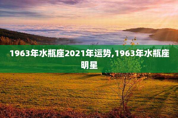1963年水瓶座2021年运势,1963年水瓶座明星