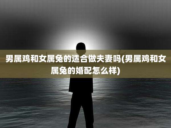男属鸡和女属兔的适合做夫妻吗(男属鸡和女属兔的婚配怎么样)