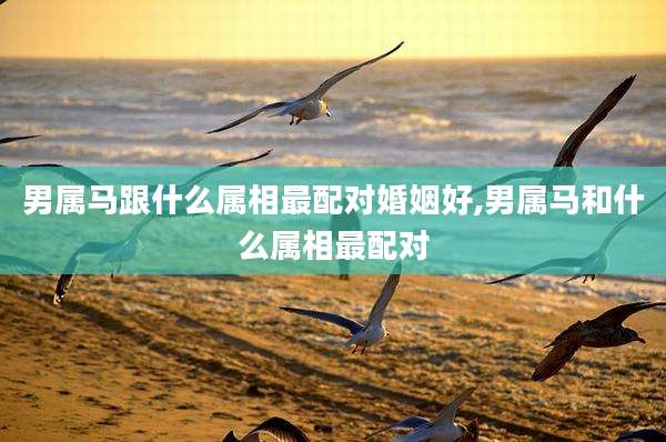 男属马跟什么属相最配对婚姻好,男属马和什么属相最配对