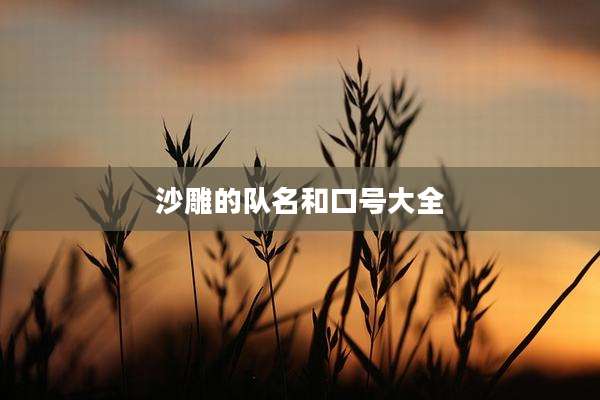 沙雕的队名和口号大全