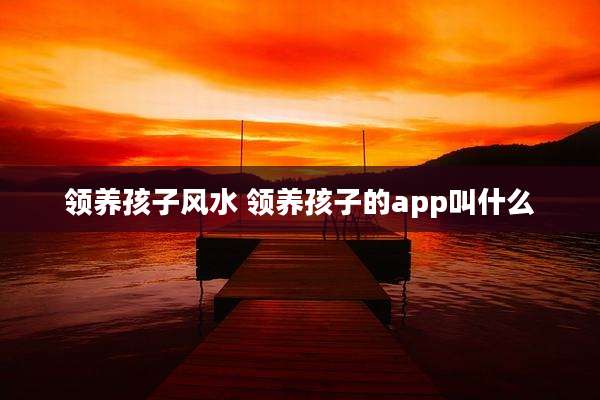 领养孩子风水 领养孩子的app叫什么
