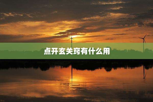 点开玄关窍有什么用