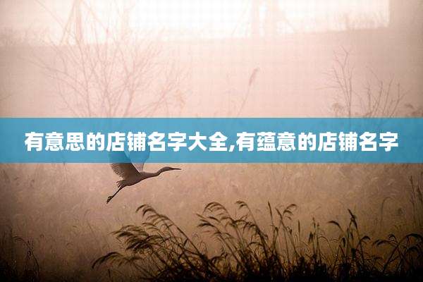 有意思的店铺名字大全,有蕴意的店铺名字