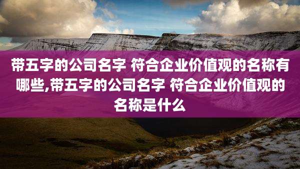 带五字的公司名字 符合企业价值观的名称有哪些,带五字的公司名字 符合企业价值观的名称是什么