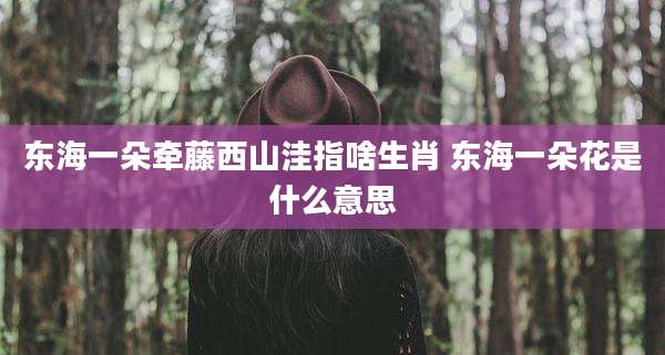 东海一朵牵藤西山洼指啥生肖 东海一朵花是什么意思