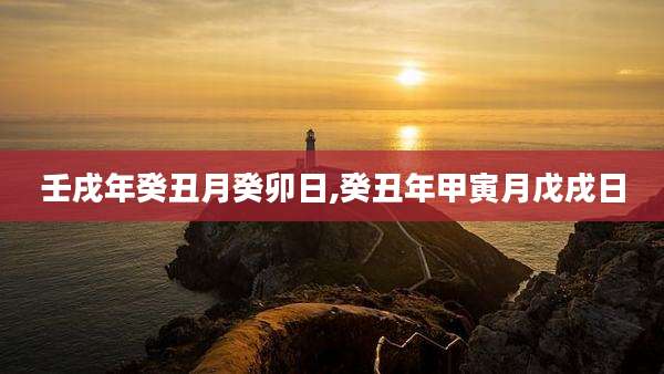 壬戌年癸丑月癸卯日,癸丑年甲寅月戊戌日