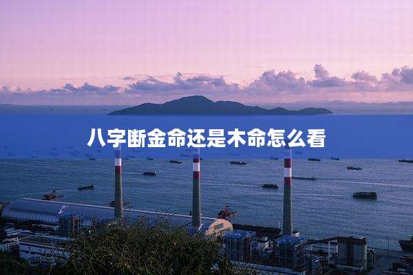 八字断金命还是木命怎么看