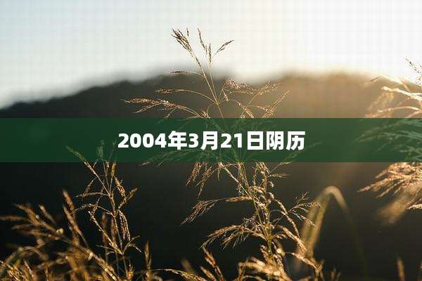 2004年3月21日阴历