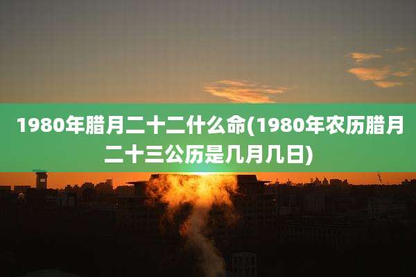 1980年腊月二十二什么命(1980年农历腊月二十三公历是几月几日)