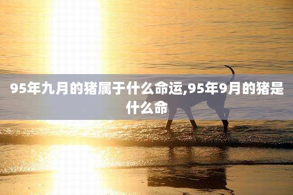 95年九月的猪属于什么命运,95年9月的猪是什么命