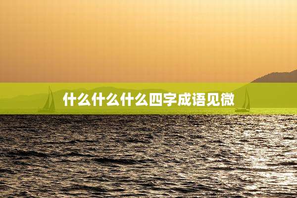 什么什么什么四字成语见微