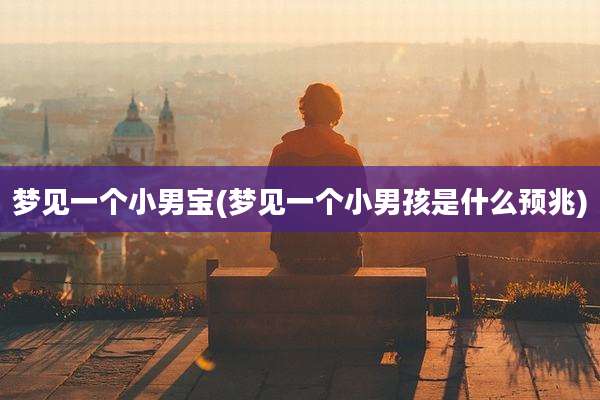 梦见一个小男宝(梦见一个小男孩是什么预兆)