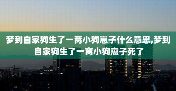 梦到自家狗生了一窝小狗崽子什么意思,梦到自家狗生了一窝小狗崽子死了