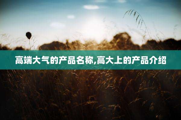 高端大气的产品名称,高大上的产品介绍