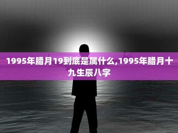 1995年腊月19到底是属什么,1995年腊月十九生辰八字