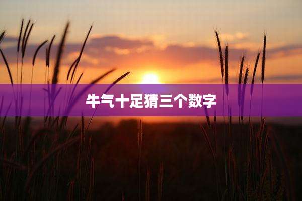牛气十足猜三个数字