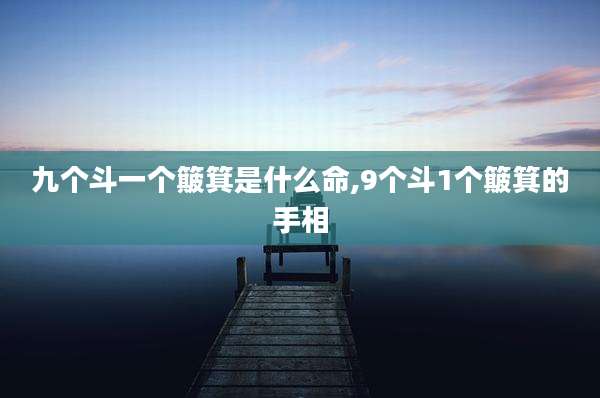 九个斗一个簸箕是什么命,9个斗1个簸箕的手相