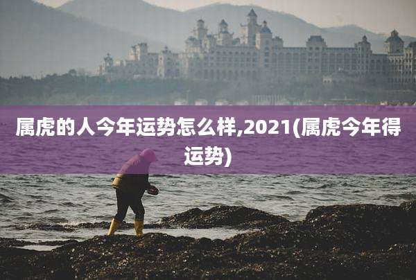 属虎的人今年运势怎么样,2021(属虎今年得运势)