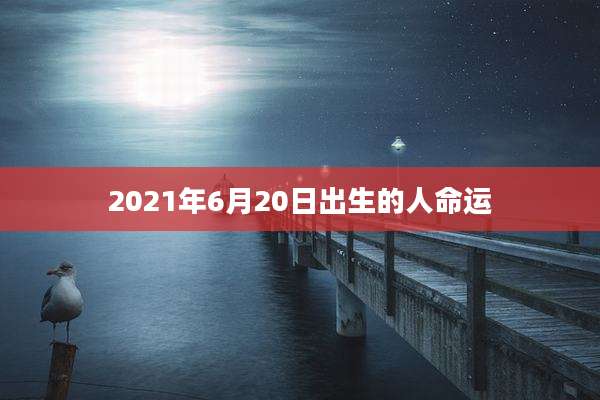 2021年6月20日出生的人命运