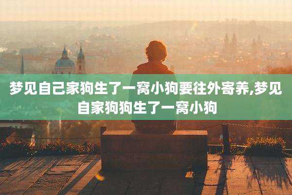 梦见自己家狗生了一窝小狗要往外寄养,梦见自家狗狗生了一窝小狗