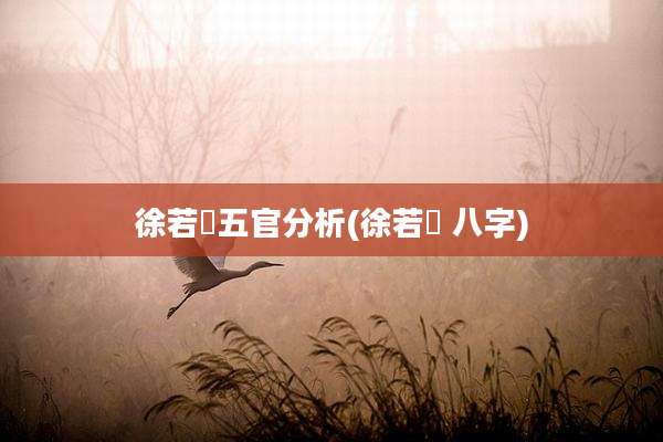 徐若瑄五官分析(徐若瑄 八字)