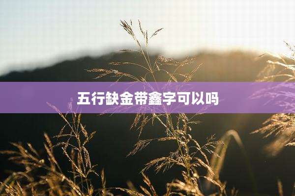 五行缺金带鑫字可以吗