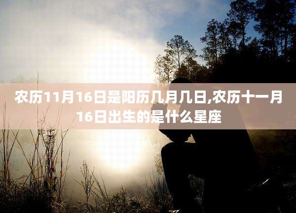 农历11月16日是阳历几月几日,农历十一月16日出生的是什么星座