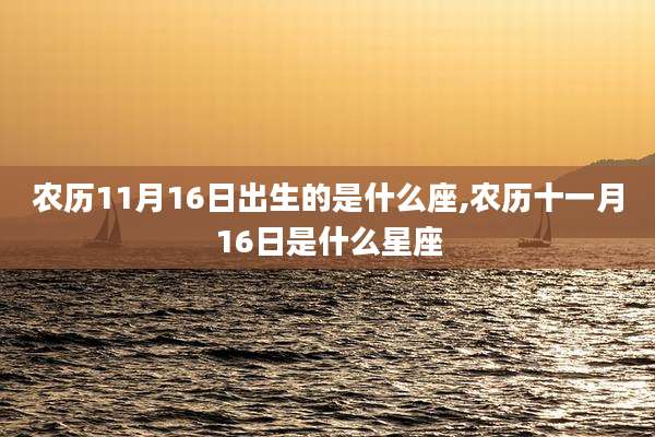 农历11月16日出生的是什么座,农历十一月16日是什么星座