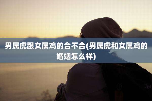 男属虎跟女属鸡的合不合(男属虎和女属鸡的婚姻怎么样)