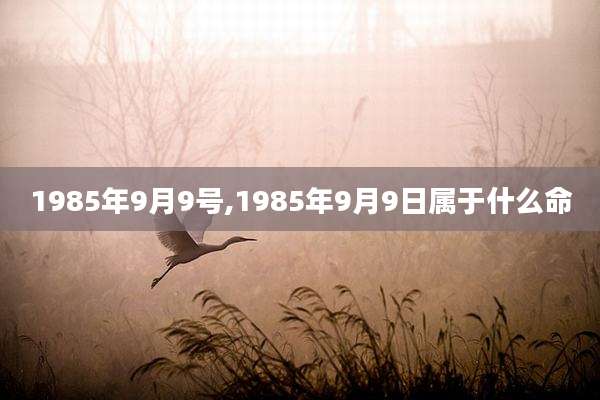 1985年9月9号,1985年9月9日属于什么命