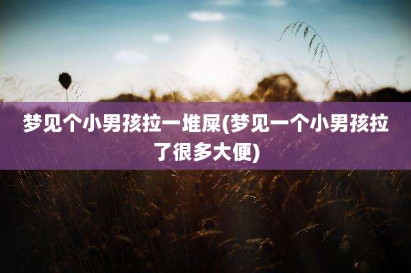 梦见个小男孩拉一堆屎(梦见一个小男孩拉了很多大便)