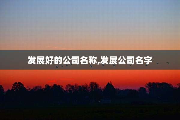 发展好的公司名称,发展公司名字