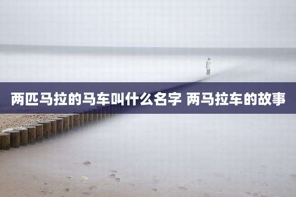 两匹马拉的马车叫什么名字 两马拉车的故事