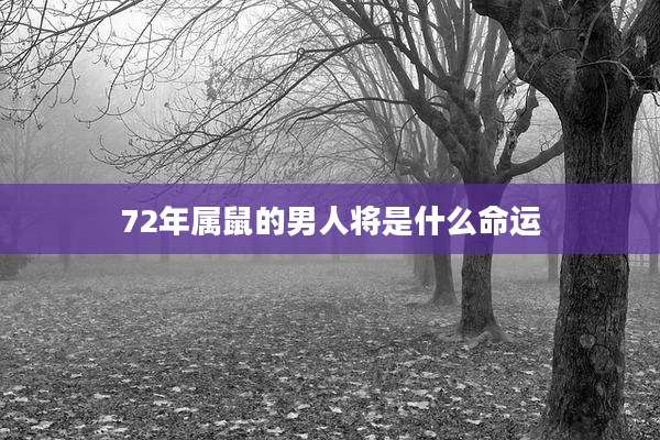 72年属鼠的男人将是什么命运