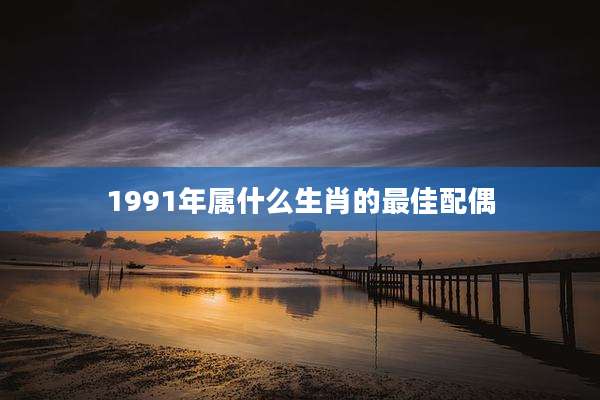 1991年属什么生肖的最佳配偶