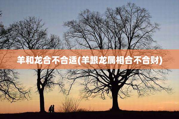 羊和龙合不合适(羊跟龙属相合不合财)