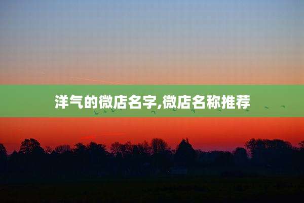 洋气的微店名字,微店名称推荐