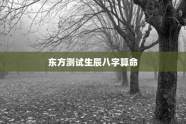 东方测试生辰八字算命