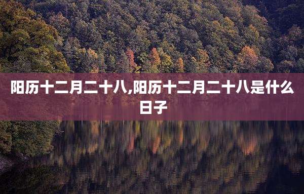 阳历十二月二十八,阳历十二月二十八是什么日子