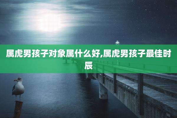 属虎男孩子对象属什么好,属虎男孩子最佳时辰