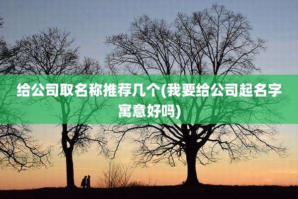 给公司取名称推荐几个(我要给公司起名字寓意好吗)