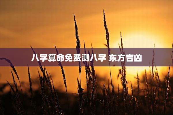 八字算命免费测八字 东方吉凶